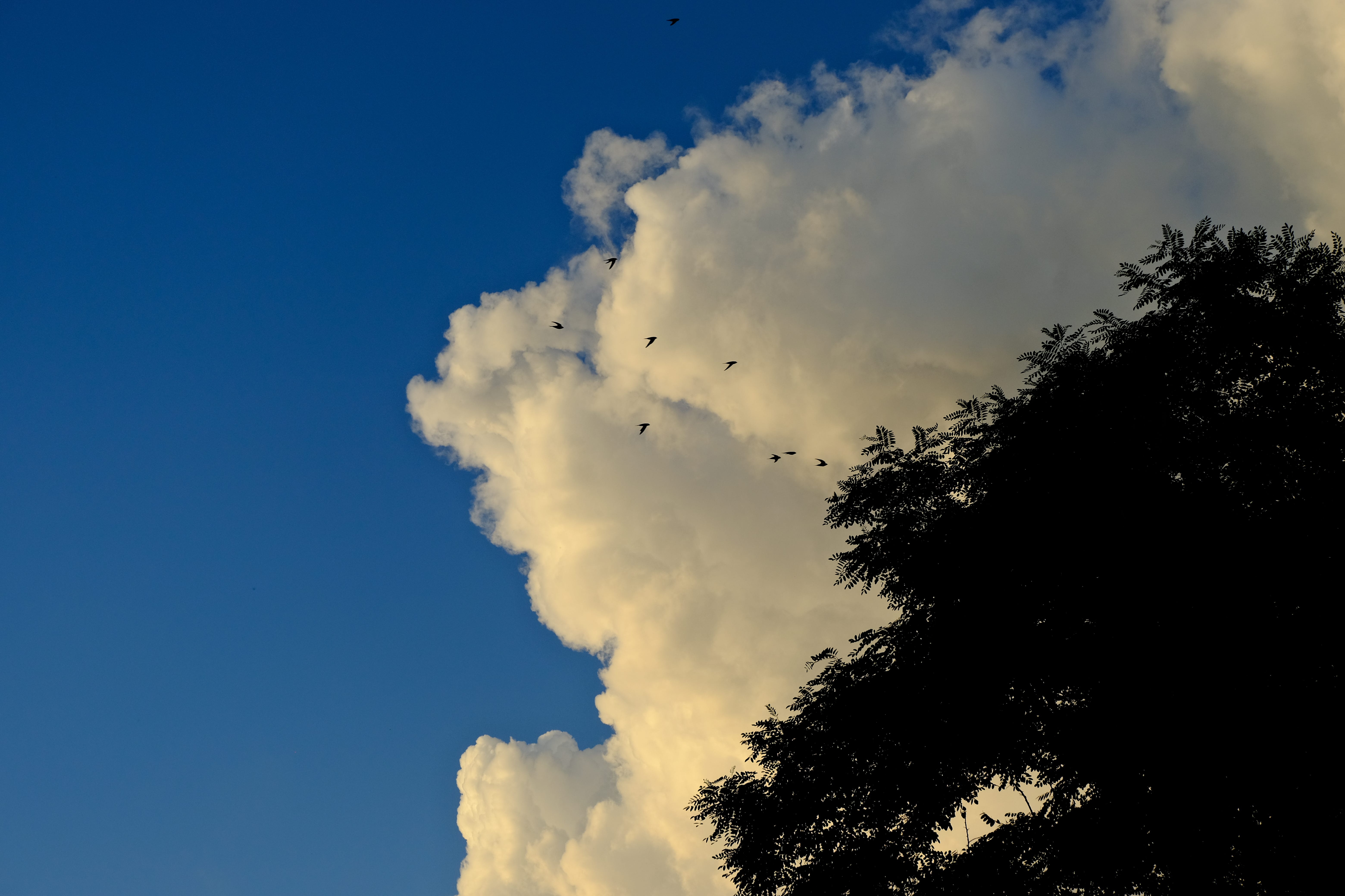 Куда я жмав #8