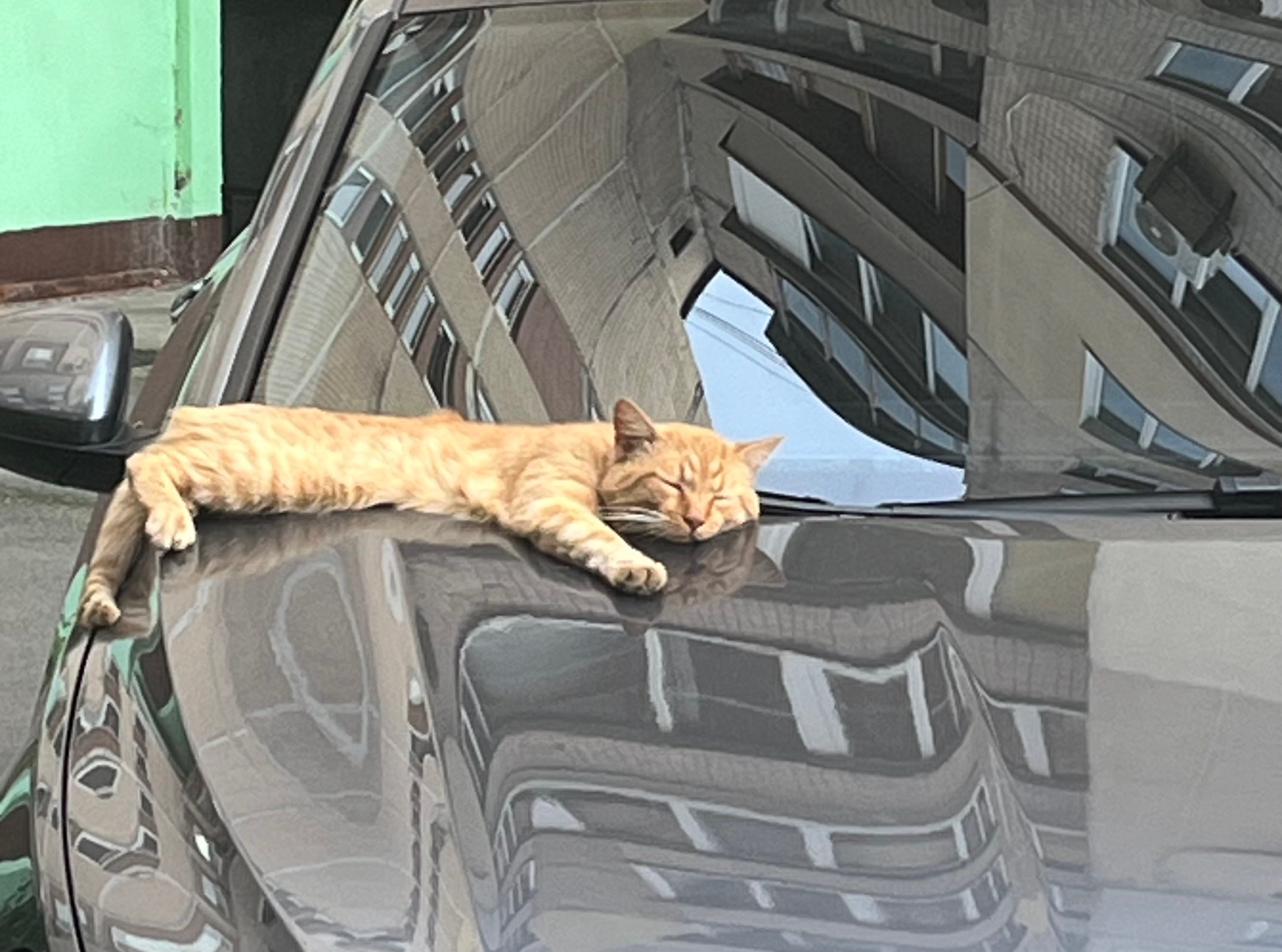 Куда я жмав #14