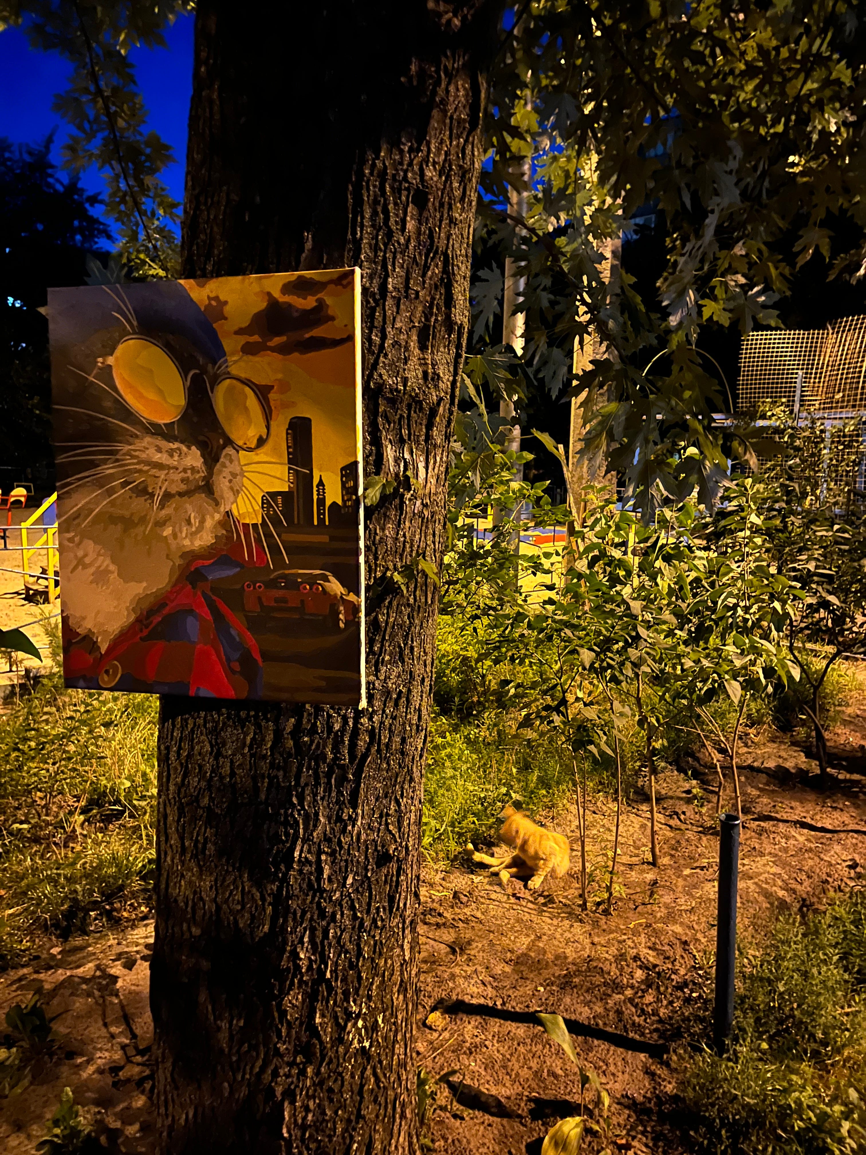 Куда я жмав #11