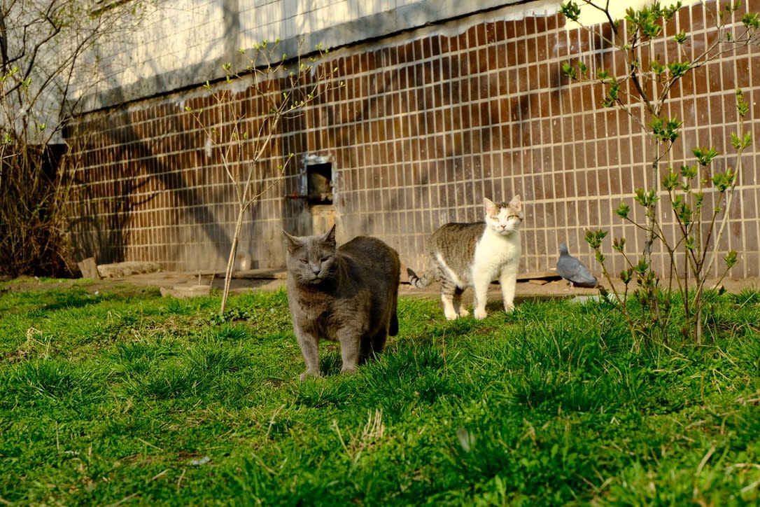 Куда я жмав #4