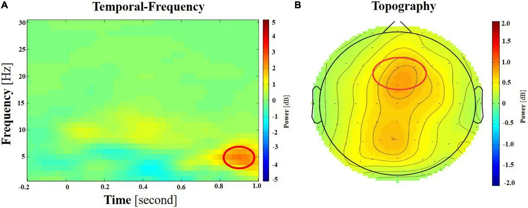 Як короткі відосікі змінюють наш мозок і що показало дослідження