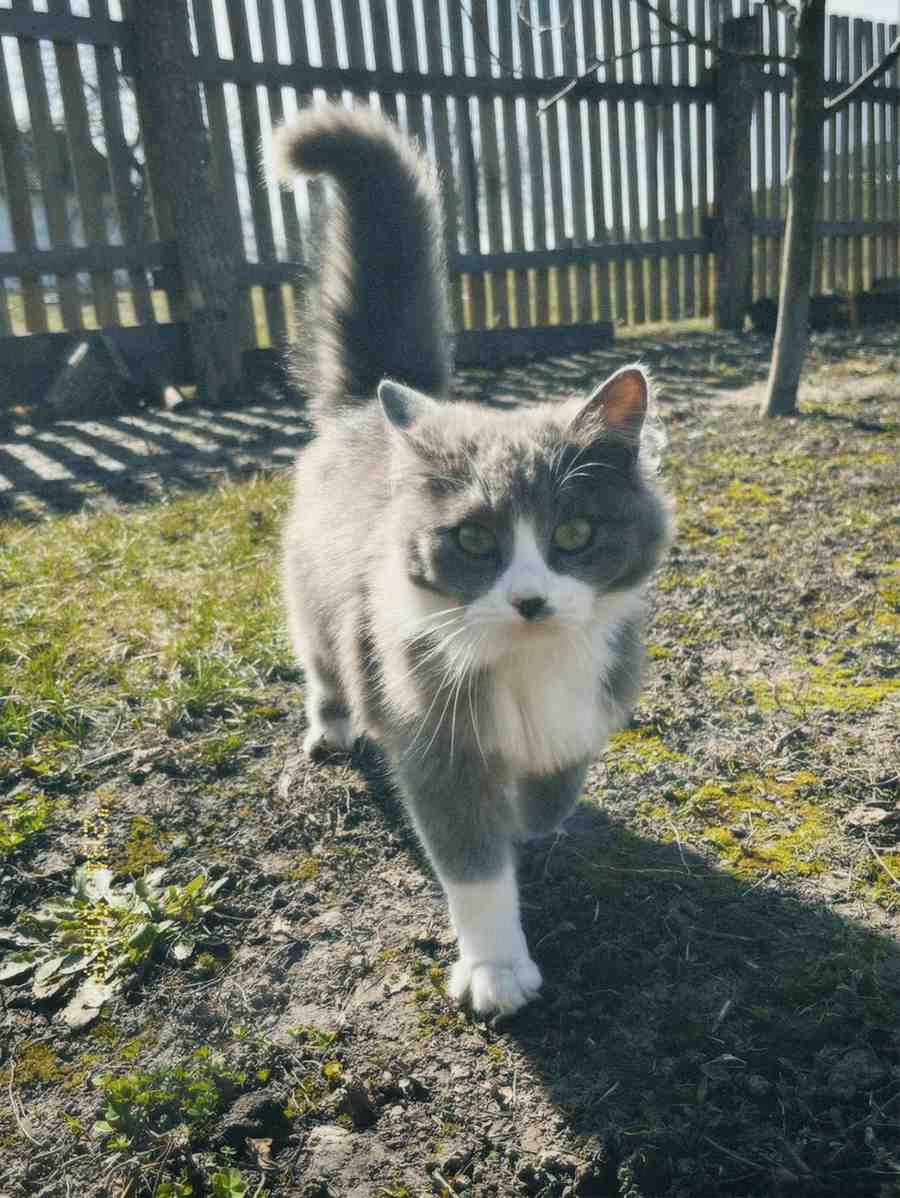 Куда я жмав #27 - на we.ua